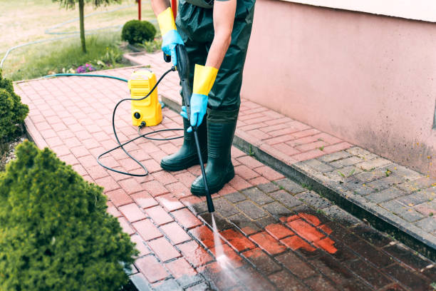 Best Solar Panel Cleaning  in Hale Center, TX